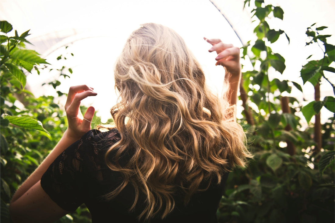 The Forgotten Organ: Why Your Scalp Is Soil, Not Skin — and How to Heal It